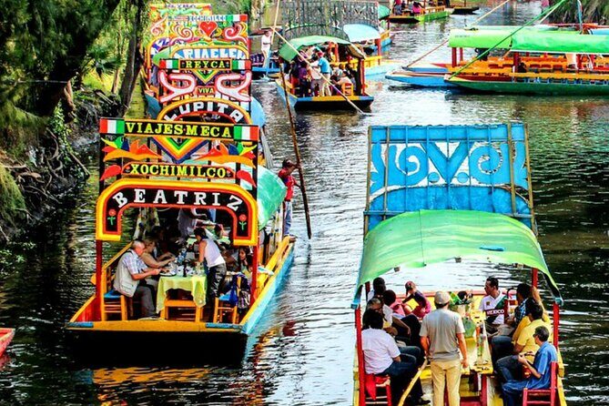 Visit to Xochimilco, Coyoacán and Ciudad Universitaria - Coyoacán: colonial streets and the Frida Kahlo connection