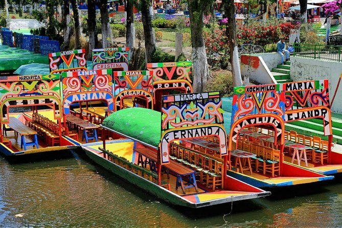 Visit to Xochimilco, Coyoacán and Ciudad Universitaria - Who this tour is best for (and who should skip it)