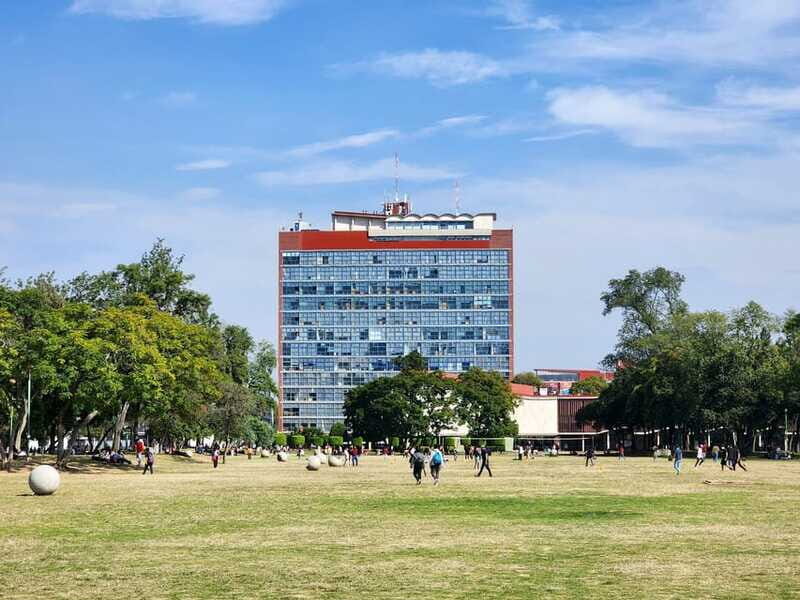 Walk around UNAM campus, a UNESCO World Heritage Site - Juan O’Gorman’s Central Library: where architecture becomes a lesson