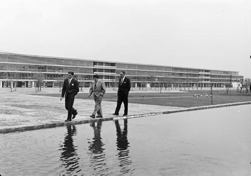 Walk around UNAM campus, a UNESCO World Heritage Site - Price and value: $76 for a UNESCO campus walk