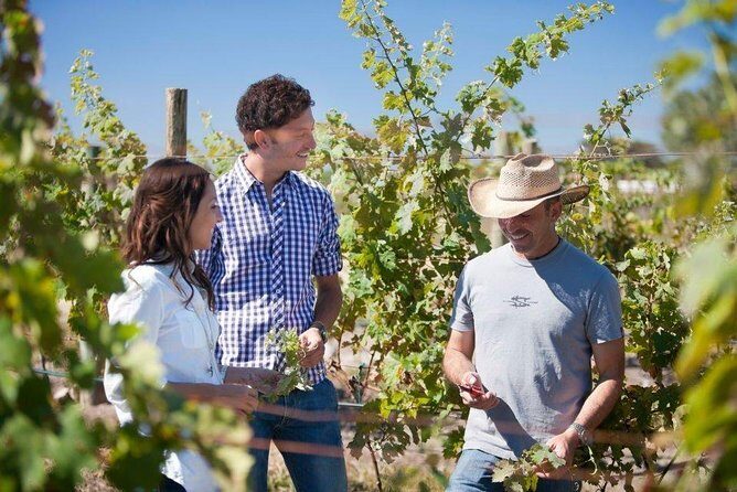 Wine Route tour starting from Querétaro - Tequisquiapan time: a short Magical Town break