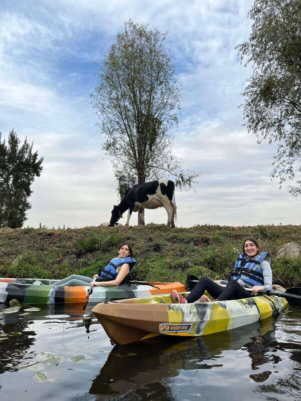 Xochimilco: amanecer en kayak Ciudad de México - Price and value: is $55 a good deal?