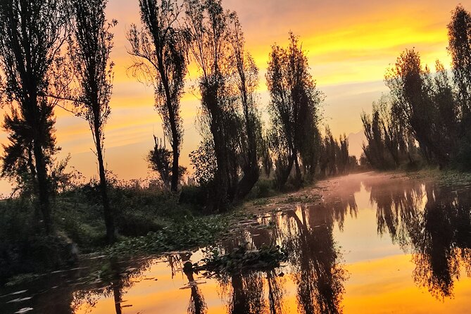 Xochimilco at dawn in Canoe or Kayak and Organic Breakfast - Key highlights at a glance