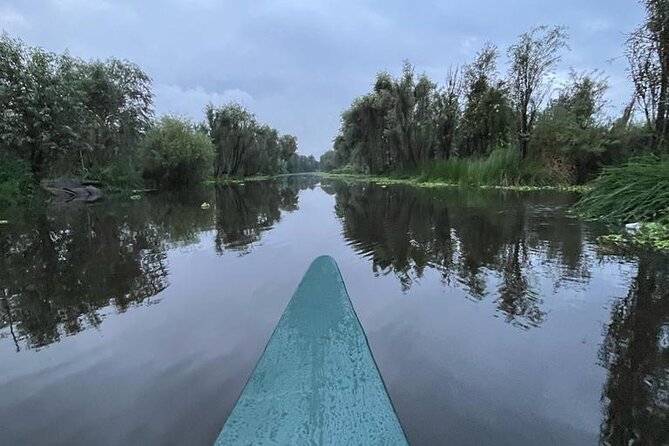 Xochimilco at dawn in Canoe or Kayak and Organic Breakfast - Canoe or kayak on the canals: what 40–50 minutes really feels like