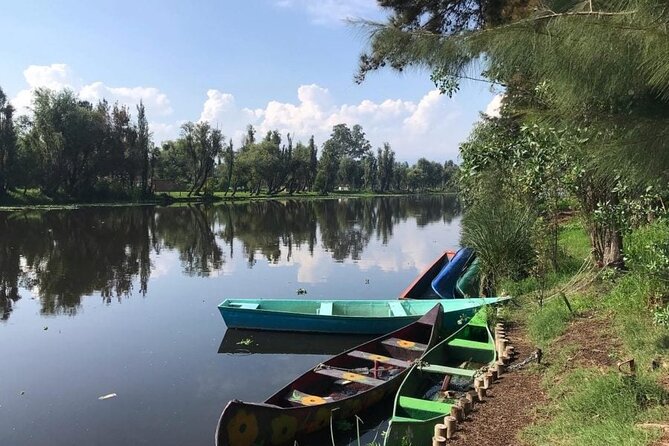 Xochimilco at dawn in Canoe or Kayak and Organic Breakfast - The chinampa breakfast: organic food plus a lesson you’ll remember