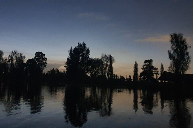 Xochimilco Barco Fiesta Tentacion 18+ with Open Bar and Tacos - Two Hours Through the Floating Gardens: What You Actually Do on the Canal