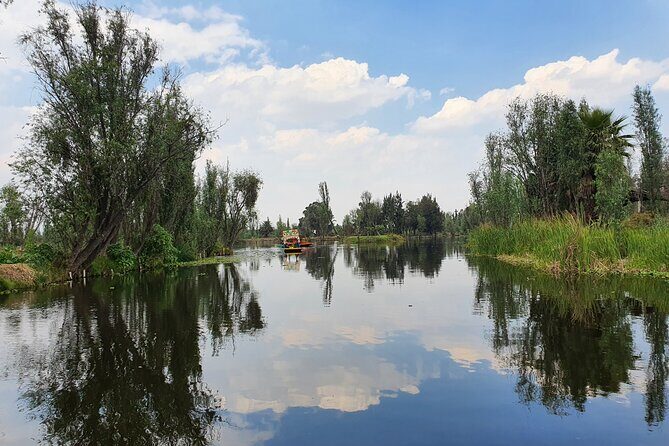 Xochimilco Barco Fiesta Tentacion 18+ with Open Bar and Tacos - Price and Value: Is $59 Worth It?