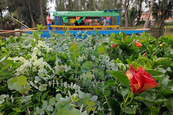 Xochimilco canals private tour with kayaks + boat - How the private setup works (and why it’s better than you’d expect)
