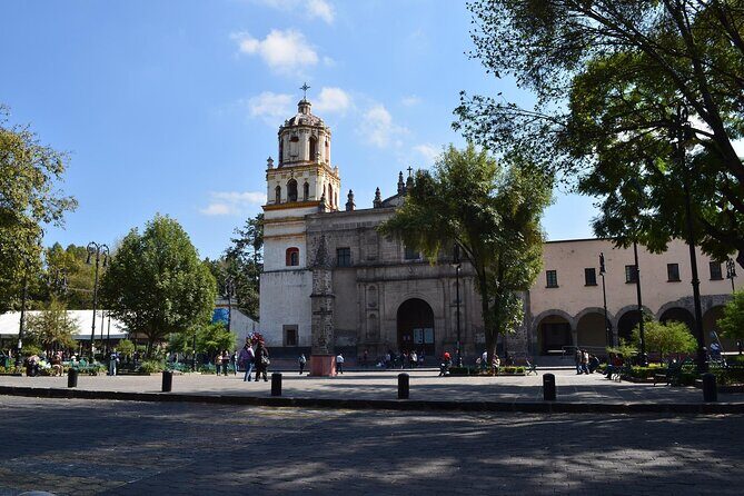 Xochimilco, Coyoacan and Frida Kahlo Museum Tour - Tips to make the day smoother