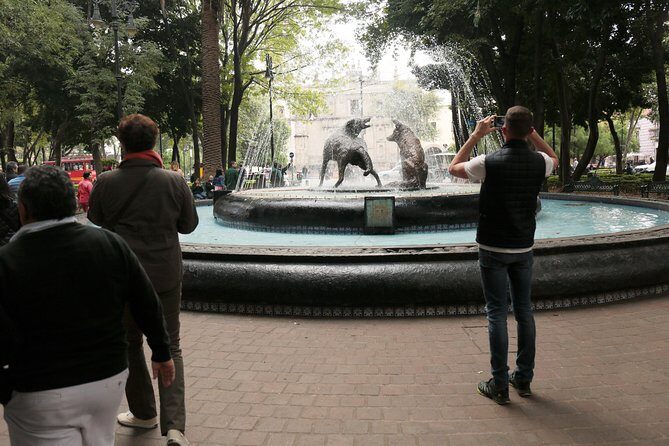 Xochimilco, Coyoacan and Frida Kahlo with Optional Lunch - Guide quality, group size, and language rhythm