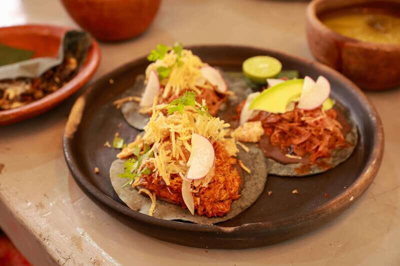Xochimilco + Coyoacán Combo Full-Day Tour - What the tour includes (and what you’ll pay extra for)