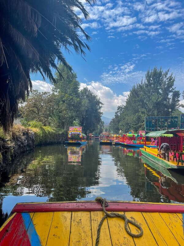 Xochimilco + Coyoacán Combo Full-Day Tour - Switching gears: van ride to Coyoacán and the change in mood
