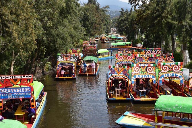 XOCHIMILCO & COYOACAN (Private) - Hotel pickup, traffic reality, and why your start time matters
