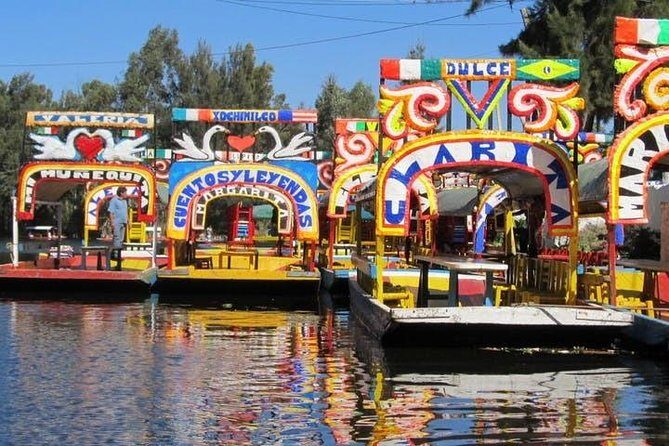 Xochimilco - Coyoacan Tour - Coyoacán’s center: UNAM roots, bohemian streets, and museum options
