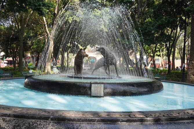 Xochimilco & Coyoacan with Frida Kahlo Private Tour - The real value of $241 per person (and what it includes)