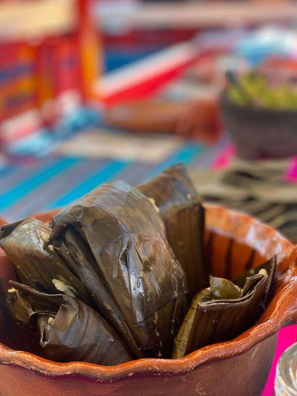Xochimilco: Eco Tour With Food - Who this eco tour fits best (and who might not love it)