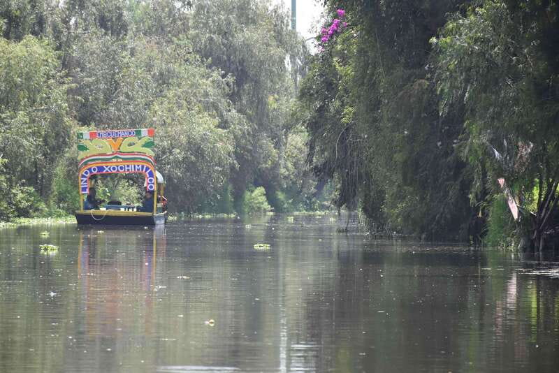Xochimilco Ecological Tour – Away From the Crowds (3 Hours) - Why This Xochimilco Boat Tour Feels Different From the Usual