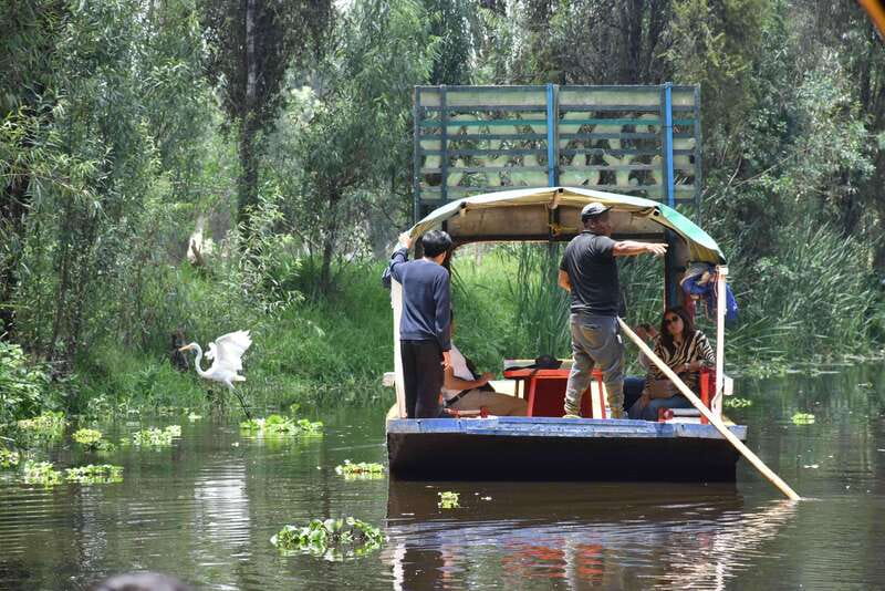 Xochimilco Ecological Tour – Away From the Crowds (3 Hours) - The 3-Hour Calm Cruise Through the Ecological Reserve