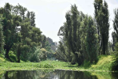 Xochimilco Ecological Tour – Away From the Crowds (3 Hours) - Meeting at Cuemanco Pier: Get Oriented Fast