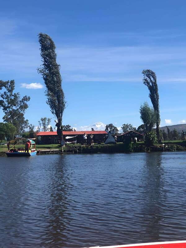 Xochimilco Ecological Tour – Away From the Crowds (3 Hours) - Axolotl Sanctuary Stop: The Endangered Species Lesson You’ll Remember