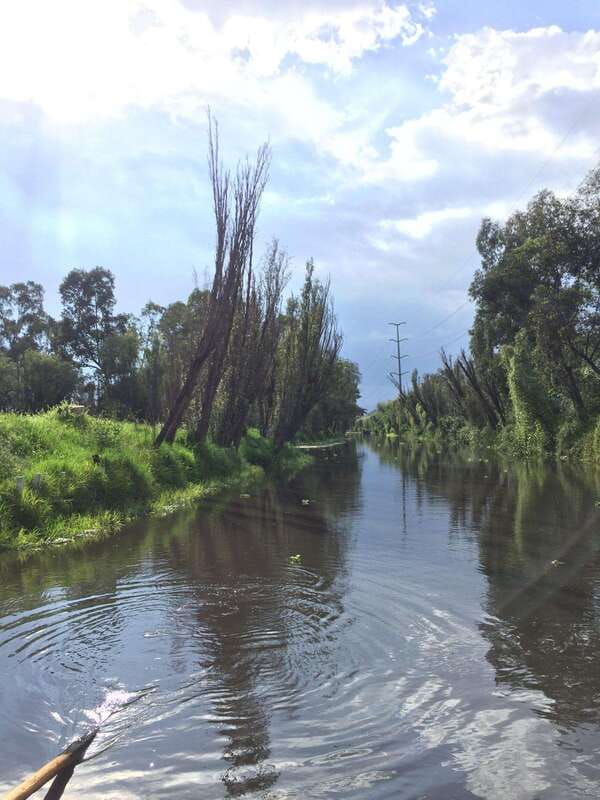 Xochimilco Ecological Tour – Away From the Crowds (3 Hours) - Snacks and Drinks: Small Details That Make the Tour Feel Easy