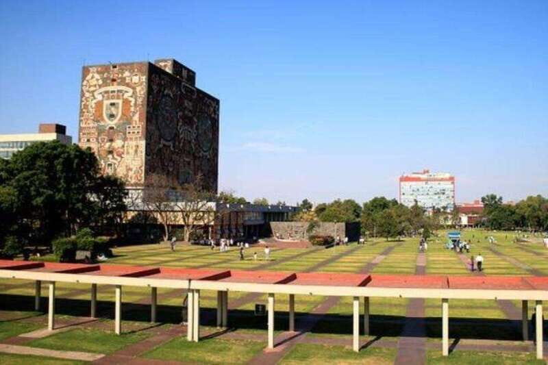 Xochimilco floating gardens, Coyoacan and UNAM murals - Should you book this Mexico City highlights tour?