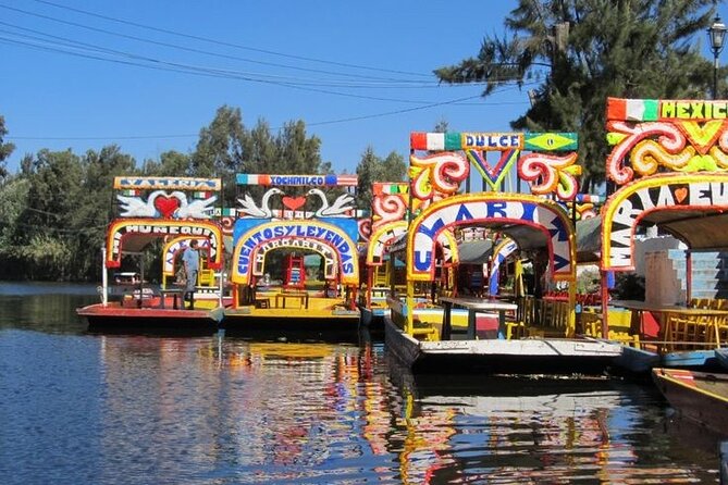Xochimilco + Museo Anahuacalli (add-on) PET-FRIENDLY - Key highlights at a glance