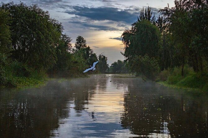 Xochimilco Sunrise from Mexico - Key highlights worth your early alarm