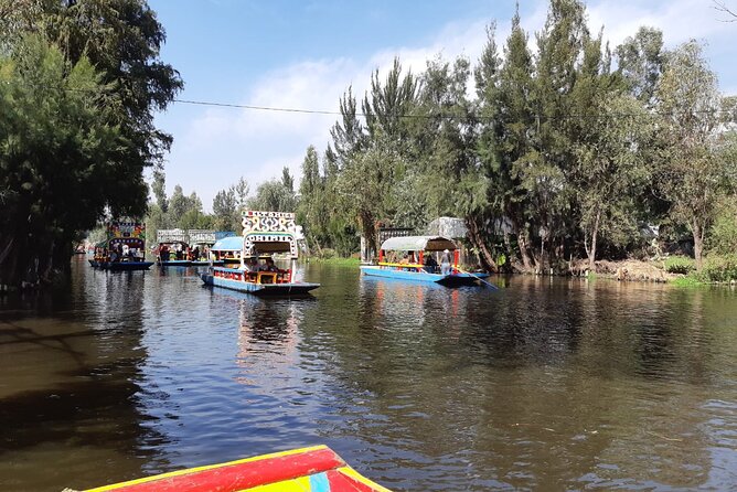 Xochimilco Tour - Why Xochimilco’s Trajinera Ride Feels Different